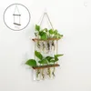 Vaser 2 Tiered Wall Hanging Plant Propagation Stations Terrarium Test Tube Flower Retro Glas Planter Propagator