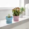 Planters Pots Pot Bunga Sukulen Tanaman Mini Plastik Pot Kantor Desktop Balkon Rumah Taman Warna-Warni Luar Ruangan Pembibitan Pot