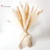 Gedroogde bloemen 70PCS Gedroogde bloemen Pampas Boeket Voor Nordic Home Decor Roze Eeuwige Bruiloft Natuurlijk Gedehydrateerd Kunstbloemen Ornament 230804