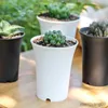 Planters Pots Pot Bunga Plastik Hitam Putih Sukulen Pot Bunga Plastik Pinggang Tinggi Dipertal Matte R230807