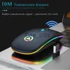 Mouse Mouse wireless Mouse silenzioso 1600 DPI Mause ergonomico Mouse silenzioso per PC Muto Mouse da ufficio luminoso colorato Caricabile / batteria X0807