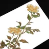 Produtos chineses baratos grande remendo de flor rosa amarela bordado adesivo ferro em remendos para roupas aplique bordado r230807