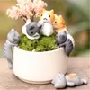 Planteurs POTS BUAH / SET LUCU NEKO MEOW DANO KUCING POT BUNGA PEMANDANGAN BOSKAK MINI BALKON POT BUNGA RUMAH R230807