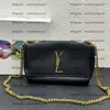 Fashion Classic Reversible Women Shoulder Crossbody Bag Designer Chain Bag Luxury Postman Borse a conchiglia Borsa Pochette abito da sera di alta qualità