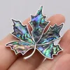 Pins Brooches Hot selling natural fashion maple leaf shaped abalone shell alloy brooch 45x45mm HKD230807