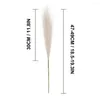 Decorative Flowers Pampas Grass Artificial Boho Decor Flower Portable Fluffy Bulrush Reed Multipurpose For Vase Filler Farmhouse