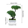 Dekorativa blommor konstgjorda bonsai ornament simulering krukväxter träd plastväxter krukande hemmakontor skrivbord landskap dekorationer po