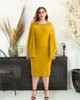 Robes grande taille vêtements pour femmes élégantes mode perlée col rond robe crayon décontracté couleur unie banlieue bureau dame