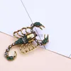 Pins broszki Scorpion Uwadek Brooch Enamel Pin Metal Lapel Pin Men Men Bejdia Podarunki Broote For Women Rhinestone Broches HKD230807