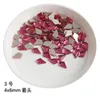 Nail Art Decorações Atacado Rose Red Multi Style Flat Back Rhinestone Especial em Forma de Cristais Pedras 3D Decoração Personalizada