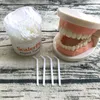 Inne higiena jamy ustnej kątowej Skalerz Salerpick Białe plastikowe zęby gospodarstwa domowego Czyszczenie Zakrzywiona hak 2 butelka 400 sztuki 230807
