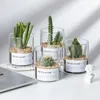 Planters POTS Transparan Nordic Rumah Bunga Sukulen Kaktus Hidroponik Sederhana