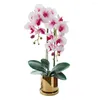Fiori decorativi Orchidea Fiore artificiale Phalaenopsis Bonsai in vaso per la festa nuziale dell'home office