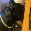 Obroże dla psów luksusowy łańcuch diamentowy kubański kołnierz chodzący metal z wiosenną zapięciem pet cat biżuteria hurtowa
