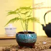 Plantatów Pots Pot Sukulen Tanaman Sukulen Pot Bunga Penanam Bonsai Pot Untuk Rumah Perkebunan R230807