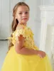 Sukienki dla dziewczynek suknia dla dziewczyn żółty puszysty tiul z ramiona kwiat Wedding Kids Princess Birthday Party Suknie