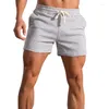 Men's Shorts 2023 Elastic Band Beach Solid Color Cotton Loose Running Fitness Moisture Wicking Large Size Breathable