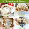 Dekorativa blommor 65 st mini Dry Baby's Breath Bouquet 4000 Pressed Real Natural Gypsophila Harts Mold Art Craft Wedding Wreath Home Decor