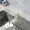 Rubinetti per lavabo da bagno Rubinetto per acqua dolce da cucina in acciaio inossidabile Singolo freddo 2 punti Interfaccia Potabile purificatore girevole