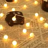 Светодиодные светильники Eu/Us Plugcrain Wedding Wedding Garland Fairy Tale String Light