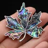 Pins Brooches Hot selling natural fashion maple leaf shaped abalone shell alloy brooch 45x45mm HKD230807