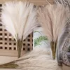 Decorative Flowers Pampas Grass Artificial Boho Decor Flower Portable Fluffy Bulrush Reed Multipurpose For Vase Filler Farmhouse