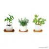 Planters Pots Pcs/set DIY Mini Yang Indah Beruntung Mini Telur Pot Tanaman Desktop Kantor Rumah Menggunakan