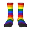 Chaussettes pour hommes Cool imprimé Gay Pride arc-en-ciel drapeau LGBTQ pour femmes hommes Stretch été automne hiver LGBT lesbienne bisexuel équipage