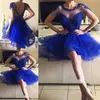 Lovely Short Sleeve Graduation Dresses Appliques Beaded Tulle Mini Short Royal Blue Homecoming Party Dresses Vestidos De Fiesta234M