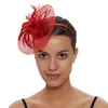 Pinces à cheveux 1PC femmes fleur Fascinator chapeau cerceau plume Cocktail thé fête filles accessoires pour 2023