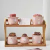 Fioriere Vasi Vaso Bunga Lucu Rosa Vaso Kelinci Sukulen Penanam Rumah Desktop Taman Vaso Tanaman Bonsai