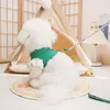 犬の首輪春夏服子猫の子犬通気性ベスト服kawaii薄いレースハーネス猫のペット用品のためにセットセット