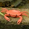 ElectricRC Animals RC Imprared Remote Control Crab Trick恐ろしいいたずらおもちゃ面白い斬新なギフトキッズクリスマスバースデーギフト230807