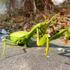 ElectricRC Animals RC Zwierzęta Zabawki zdalnego sterowania Zabawki Owadka Symulacja podczerwienia Much Mantis Electric For Boys Prank Insects Halloween Kids 230807