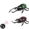 ElectricRC Animals Creative Remote Control Hercules Tricky Electric Simulation RC Insect Model Beetle Brinquedo de Halloween infantil para diversão 230807