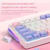 Two-stage Foot Support Wireless Keyboard Flank With Light Full Key Hot Plug Luminous Keyboard Rgb Lamp Effect Full Color Rgb HKD230808
