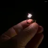 Настенная лампа Микро -ландшафтная световая мини -модель DIY Lights Lights Строительные материалы