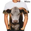 Camiseta Masculina 2023 Est Cow Impressão 3D Animal Cool Engraçada Camiseta Masculina Manga Curta Tops de Verão Camiseta Moda Masculina