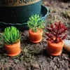 Jardinières Pots Tanaman Bonsaï Sukulen Tanaman Bunga Pot Kantor Rumah Bonsaï