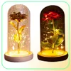Romantyczne wieczne różane kwiat szklany okładka Piękno i bestia lampa bateryjna urodziny walentynki 039S dzień dar