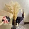 Decorative Flowers Wreaths Large Pampas Grass 48"Dried Fluffy Natural Dried Home Boho Decor Country Wedding Pompas Floral Decoration 230808