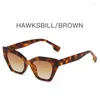 Sunglasses Fashionable B With Cat Eye Small Frame Avant-garde European And American Light Luxury Instagram Fashion Trend