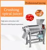 Spiraal Juicer Crusher/Fruit Groente Crush Sap Productielijn/Tomaat Gember Sap Extractor Machine