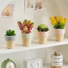 Planters Pots Pot bunga kartun rumah Pot bunga tanaman sukulen Pot bunga dekoratif untuk tanaman