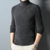 Men's Sweaters Winter Turtleneck Sweater Fashion Casual Stripe Knitted Warm Thickened Pullover