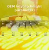 Orange Tiger 143Keys PBT Mechanical Keyboard Keycaps HKD230808