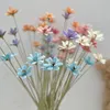 Fleurs décoratives petit fait à la main blanc chrysanthème marguerite naturel vraies plantes fleur sèche Bouquet mariage fête Arrangement décoration