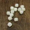 Perlen 10 Stück Tulpe Blume Muschel lose Perlen geschnitzt Perlmutt für Schmuckherstellung Bijoux Coquilloolage 8 x 8 mm DYL0070