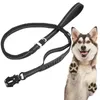 Colliers pour chiens Bungee Frog Clip Fils réfléchissants réglables Laisse de marche extérieure Poignée rembourrée Ceinture de sécurité Chiot d'entraînement robuste