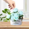 Planters Pots Pot bunga dekoratif pot tanaman taman dekoratif bunga rumah pot bunga cantik pegangan pot bunga dengan ember bunga